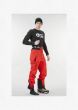 Picture Object Mens Ski Pants - Red save 25%