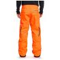 DC Banshee Ski Pants - SAVE 50% L only 