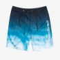 Quiksilver Mens Everyday Faded Board Shorts - Black