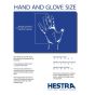 Hestra Army Leather Heli 3 Finger Ski Gloves - Black